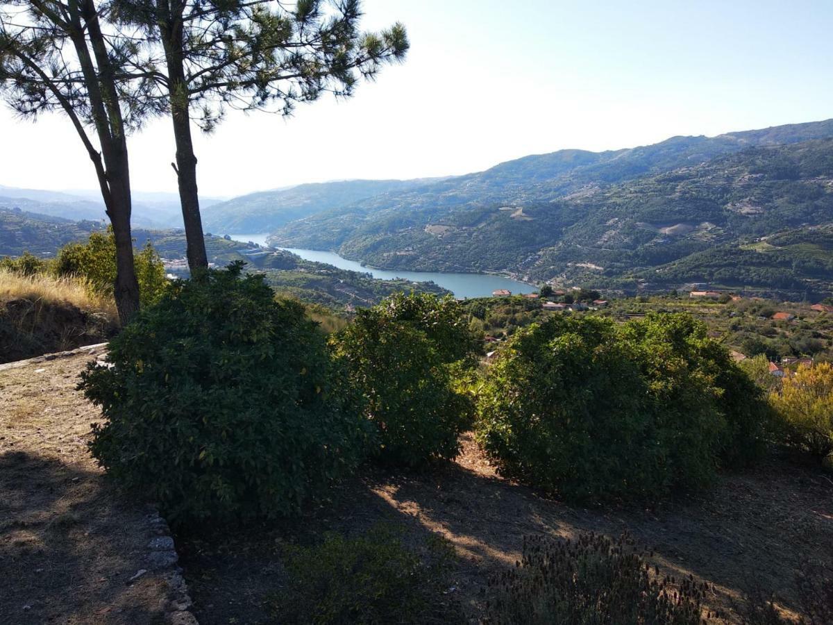 Paraíso Hills - Encostas do Paraíso: tranquilidade no Douro Resende Exterior foto